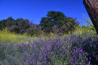 DSC_6146 (Large).JPG